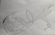 draw pencil sketch, hand drawn art