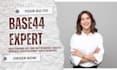 base44 expert base44 app development base44 web app builder base44 developer