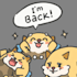 make doodle stickers and animated stickers