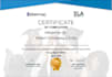 be your executive virtual assistant