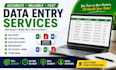 accurate data entry fast typing  excel  web research expert