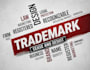 expressly file uspto trademark application with knockout search