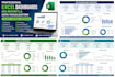 excel mis reports dashboards data visualization