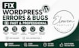 fix wordpress errors, wordpress bug fix, wordpress issues, fix critical errors