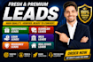 give fresh premium sweepstak leads , gambler leads, loan leads, mca leads