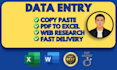 do accurate excel data entry and manual typing