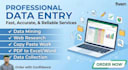 manage your professional excel data entry and web research