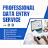do data entry, copy paste, web research with fast delivery