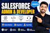provide salesforce admin, apex development and CRM automation services
