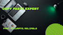 do fast and accurate data entry copy paste PDF to word excel