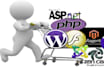 design develop and maintain any kind of web application