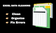 clean and organise your excel data professionally