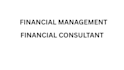 do financial consultation, financial audit
