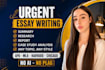 do urgent essay writing as an essay writer