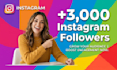 buy new 3000 instagram followers organically