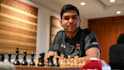 provide professional chess coaching