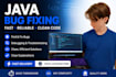 be providing help to students with their java project