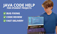 be providing help to students with their java project