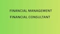 be your financial consultant, financial audit