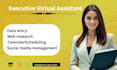 executive virtual assistant social media manager ghl  expert