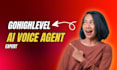 setup gohighlevel appointment setter automation, ai voice agent, landing page