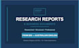 write professional research reports and business documents