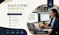 professional data entry and data web research
