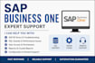 sap business one functional