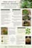 write health and wellness articles for your website