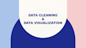 data cleaning and visualization