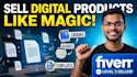 create a professional digital playbook and brand assets