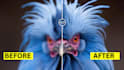 upscale enhance picture, unblur, and increase image resolution