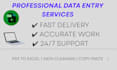 do professional CRM data entry and expert web research