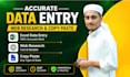 accurate excel data entry as per your requirement