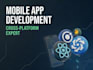do react native, ionic vue, quasar, ios, android app dev expert