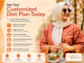 expert dietitian for personalised eating habits