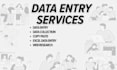 do expert data entry, copy paste, and web research