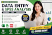 do data entry, excel data processing and spss analysis
