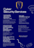 do cyber security services