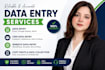 do spreadsheet data entry, CRM data entry and web data entry