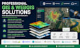 do web mapping, interactive mapping, gis mapping, spatial analysis