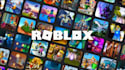 develop a custom roblox game or script your idea