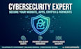 provide professional cybersecurity audits and vulnerability assessments