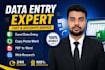 provide accurate data processing and web research services