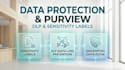 setup microsoft purview data loss prevention and sensitivity labels