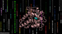 perform molecular docking and pymol visualization
