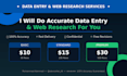do accurate data entry and web research for you