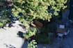develop ecological garden concepts