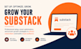do organic substack promotion