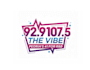 design superb unique radio station logo with satisfaction guaranteed